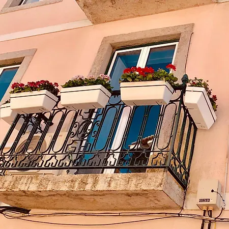 Alfacinha Ajuda דירה *