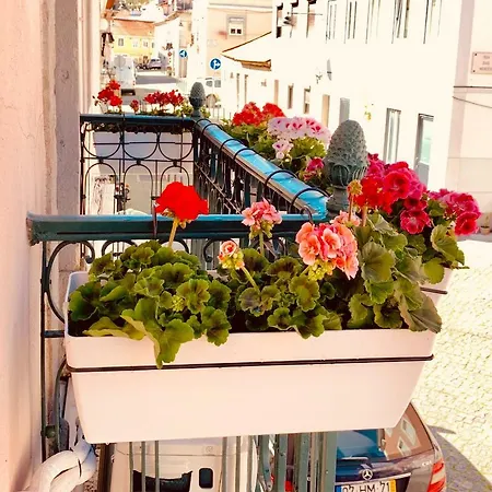 דירה Alfacinha Ajuda ליסבון